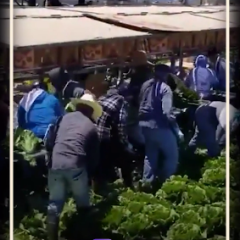 علاجی به نام پنهان کردن!