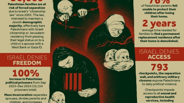 Colonial Violence & Reproductive Injustice in the West Bank