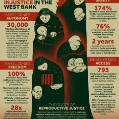 Colonial Violence & Reproductive Injustice in the West Bank