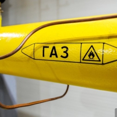 Стратегический союз России и Китая в рамках проекта «Сила Сибири-2»