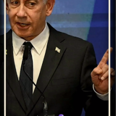 خشم عالی‌جناب صلح!