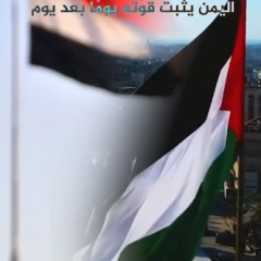 اليمن يثبت قوته يوم بعد يوم