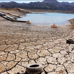 Israel’s Holy War for Water: Prayers on the Galilee, Plunder in the Golan