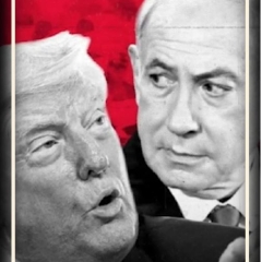 Harvard’s Secret Israel Archive: Preparing for a Future without the State