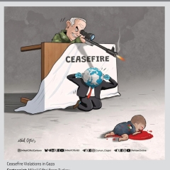 Ceasefire Violations in palestine!