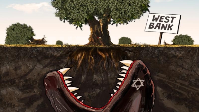 Olive tree massacre in the West Bank