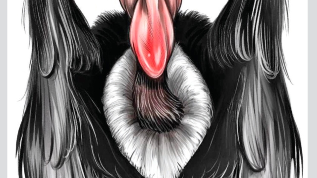 Netanyahu the Vulture!