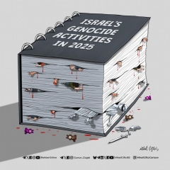 Israel's 2025 Gaza Report