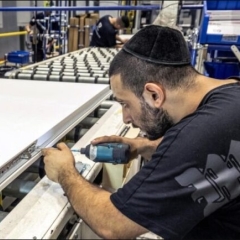 עלייה באבטלת הצעירים במשטר הציוני ל־12%