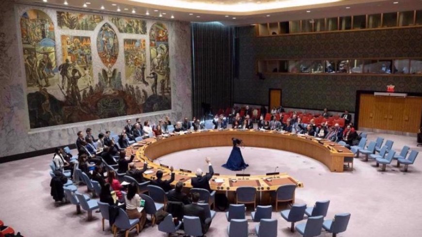 UN Security Council issues anti-Israel statement, says settlements impede peace