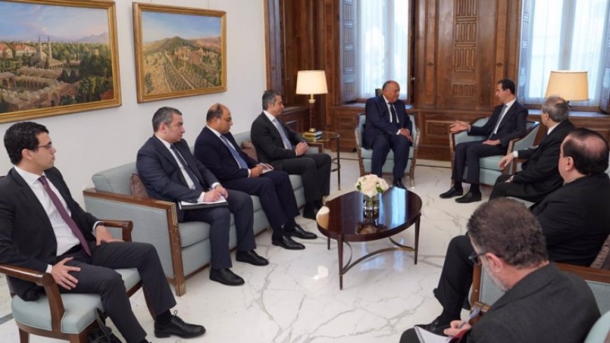 Egypt's foreign minister meets with Assad