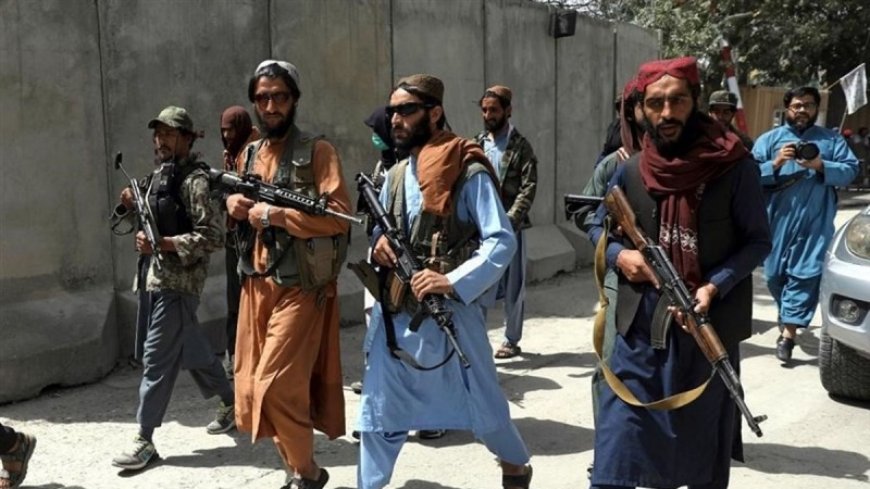 AI: Taliban immunity must end