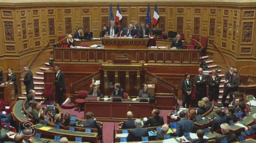French Senate approves controversial pension reform