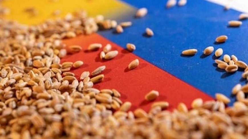Turkey: Ukraine wheat deal extended