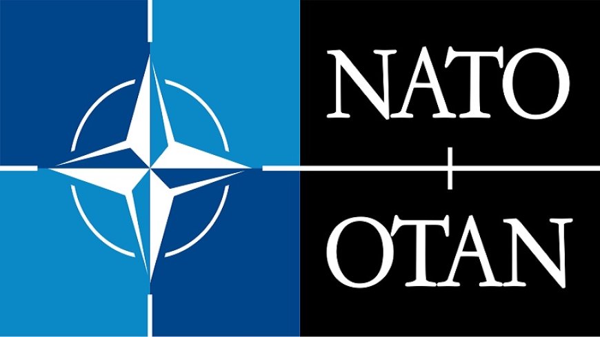 Erdogan's white smoke: Finland one step away from NATO