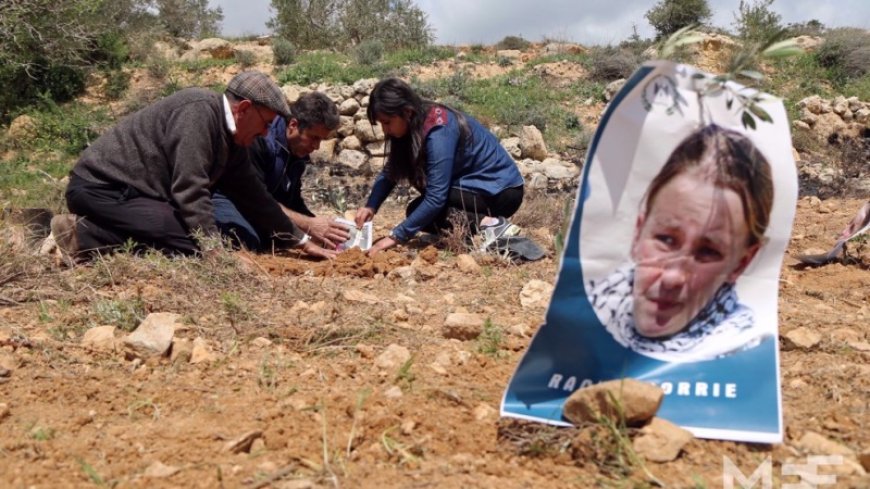 No justice 20 years after Rachel Corrie was killed by Israel
