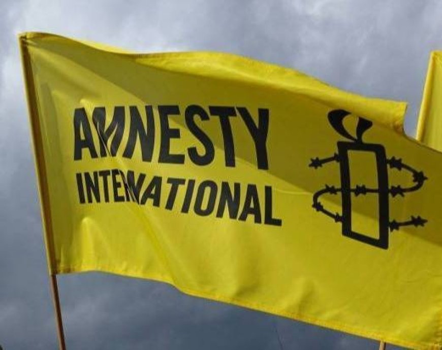 Amnesty warns "of the excessive use of force and abusive arrests"