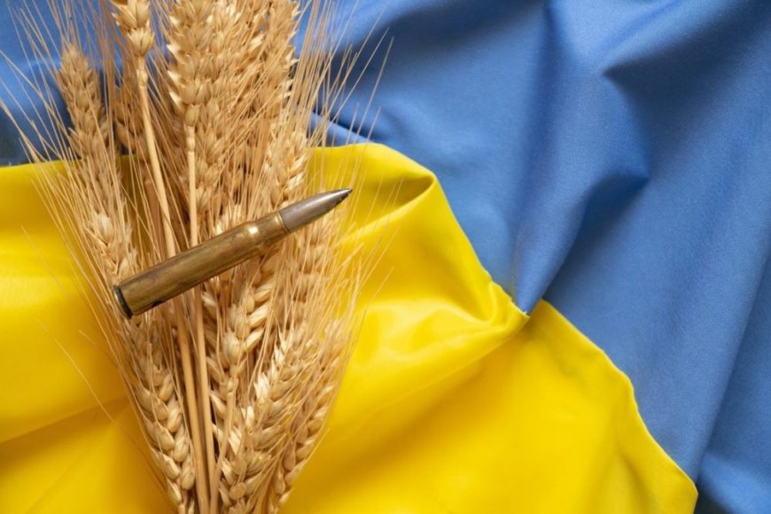 Enough of Ukrainian grain
