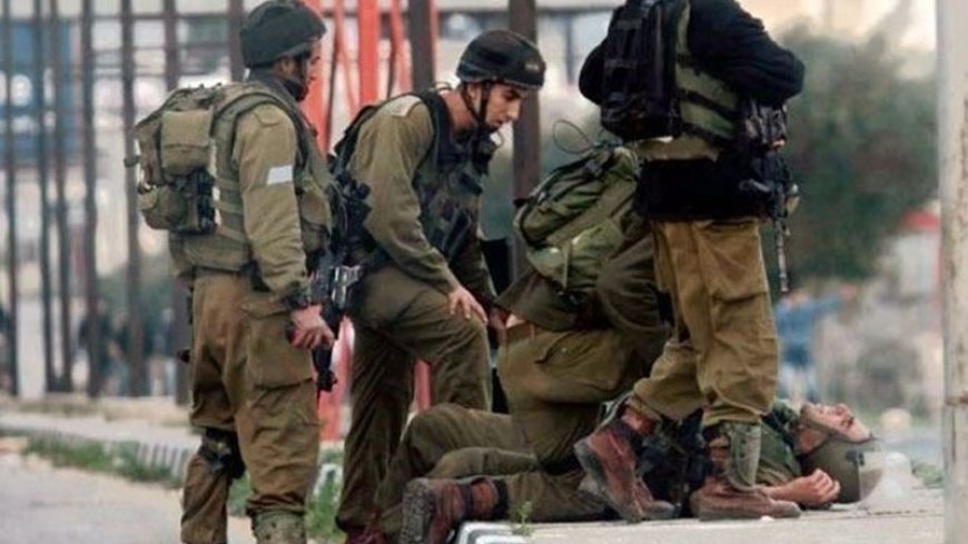 Palestinian resistance: anti-Zionist operations increase