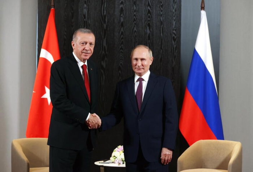 Erdogan thanks Putin for cooperation on wheat deal