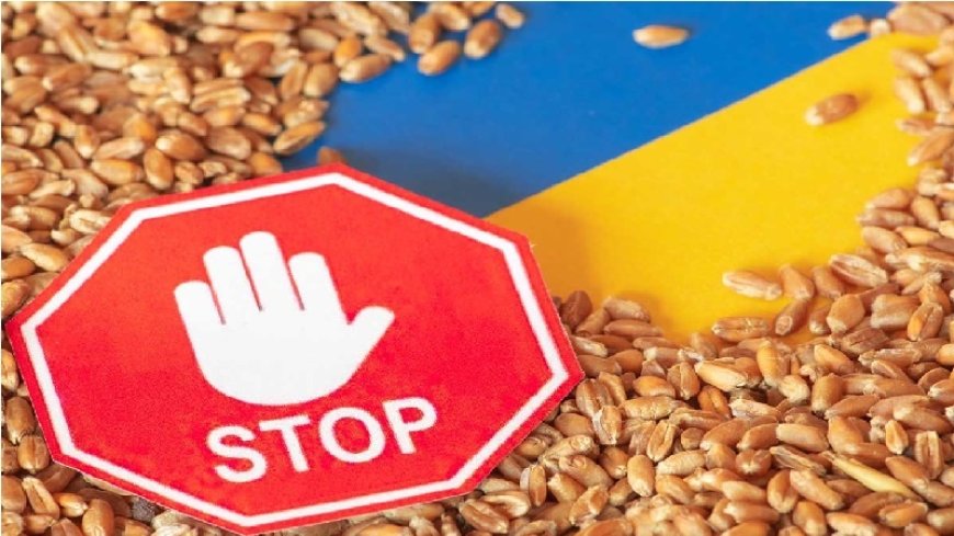 Hungary and Poland, Ukrainian grain is a problem for Europe