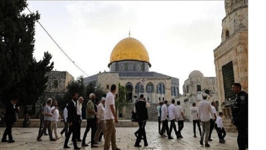 Al-Quds, over 3,000 settlers invaded Al-Aqsa in June