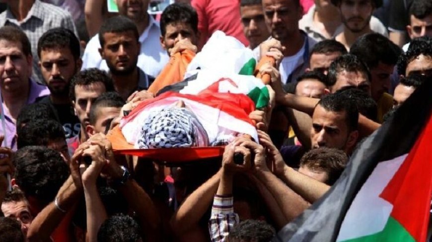 Palestinian Federation of Latin America: Israel committed a massacre in Jenin