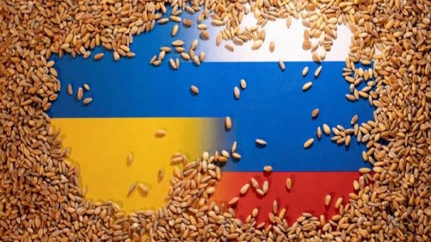 Türkiye, the West no longer needs grain from Ukraine