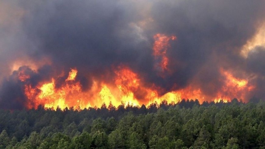 Türkiye, forest fires: flames reach the city of Belen