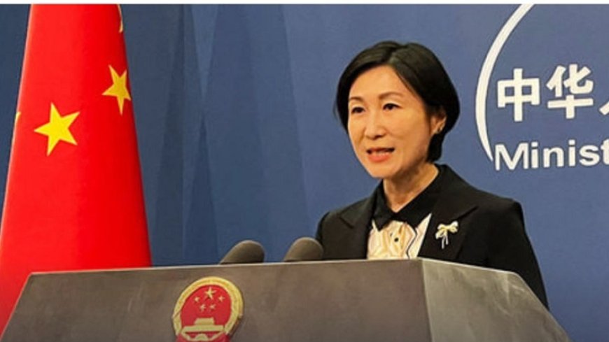 China's reaction to the attack on the Crimean bridge and the suspension of the grain agreement