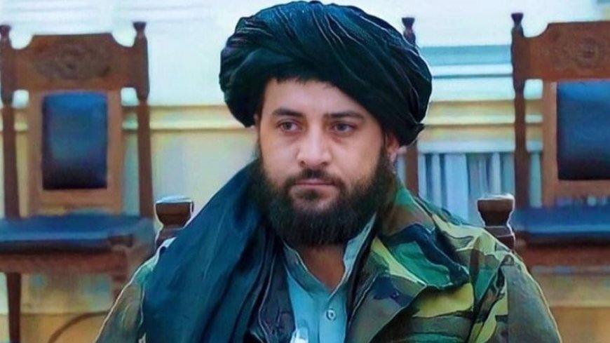 Taliban: We do not need cooperation with America