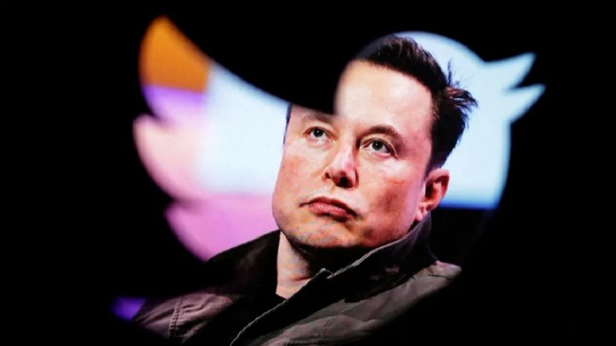 Twitter, Elon Musk changes the blue bird logo
