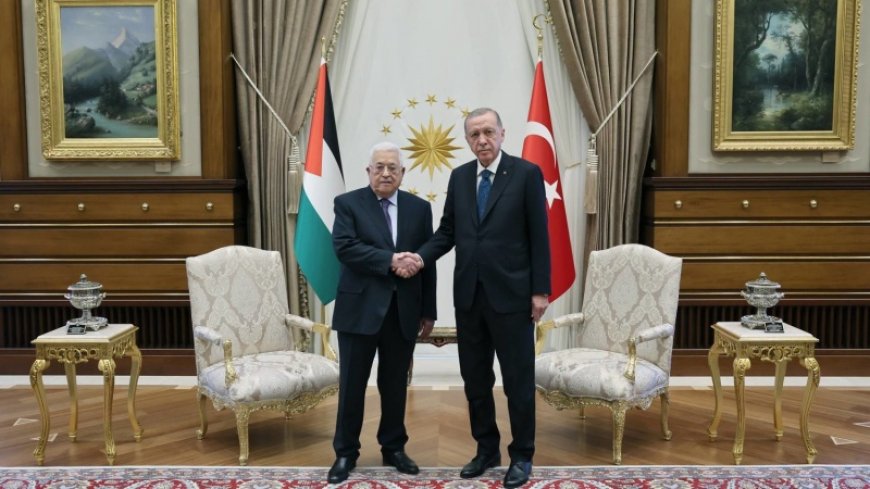 Erdogan emphasizes global defense of the Palestinian cause