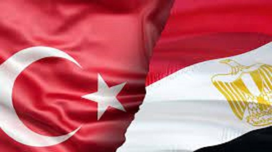 Egypt: ambassadors of Türkiye and Qatar discuss joint investments in the market
