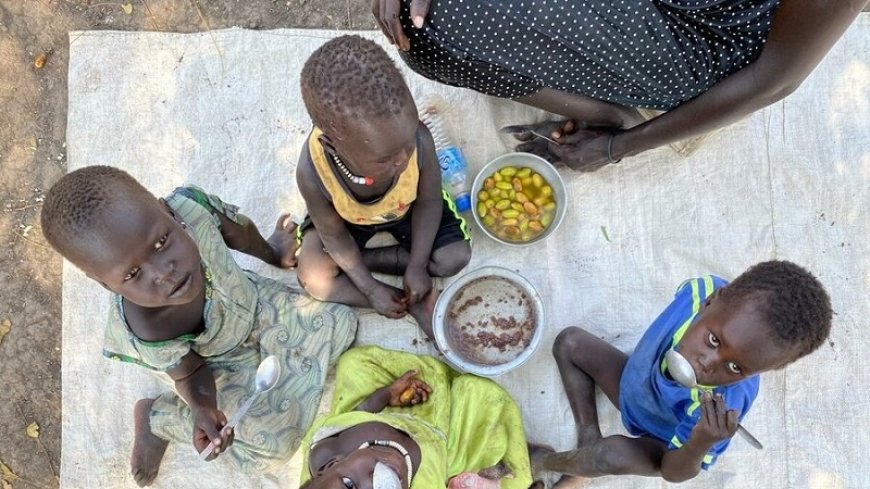 United Nations: Millions of people are facing famine in Sudan