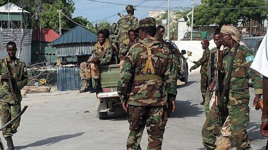 The al-Shabaab group controls five towns in central Somalia