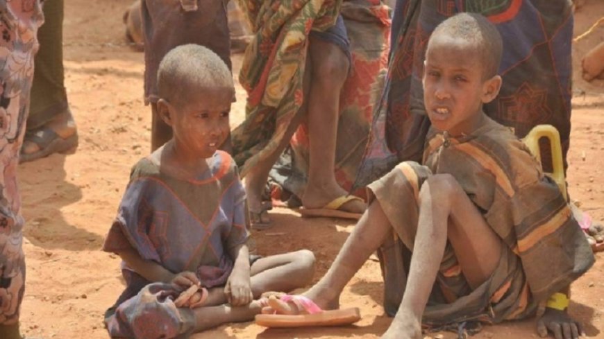 UNHCR warning about humanitarian crisis in Niger