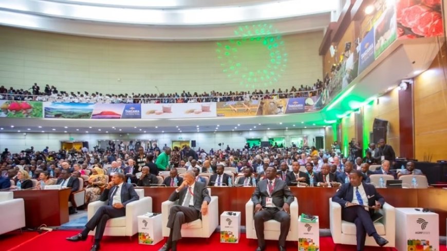 More than 70 countries are participating in the Tanzania conference on food systems in Africa