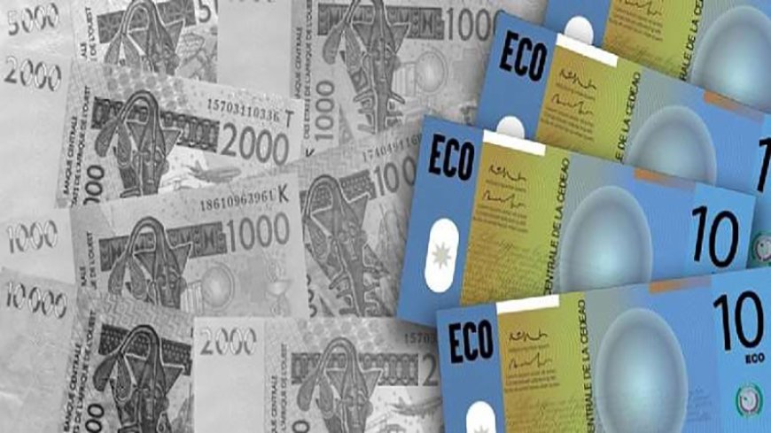 Officials recommend further steps to speed up the introduction of the ECOWAS common currency