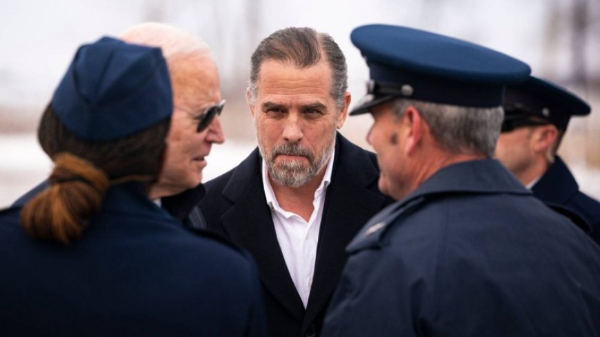 Biden's son accused of lying about drug use