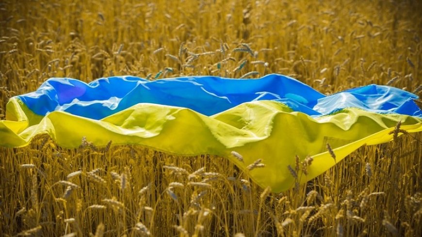 Grain, Minister of Agriculture of Ukraine in Poland