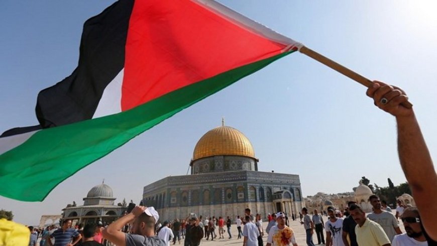 Israeli reporter: Saudi people support Palestine