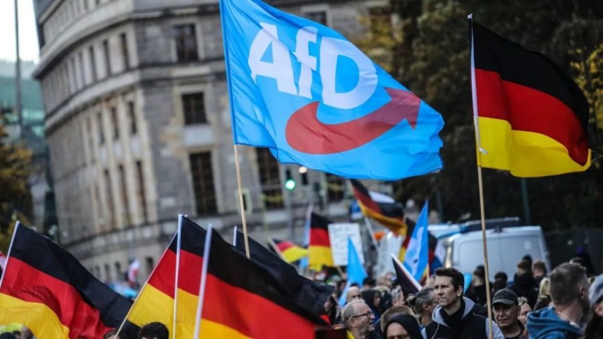 In Germany they took part in a rally against the economic policy of the authorities