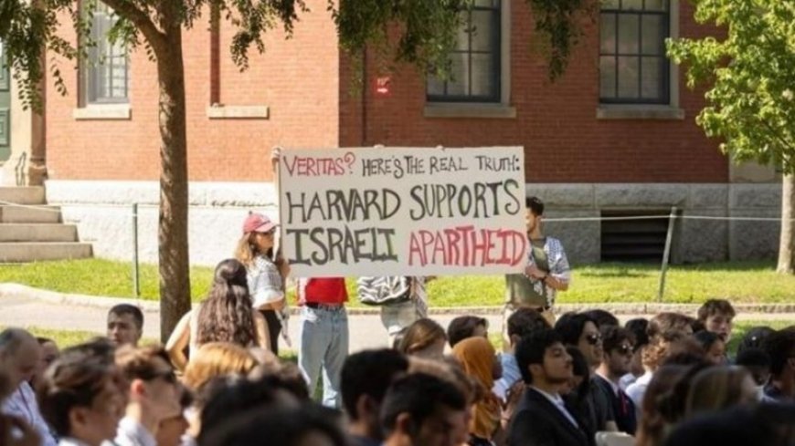 American students at Harvard University support the Palestinian nation