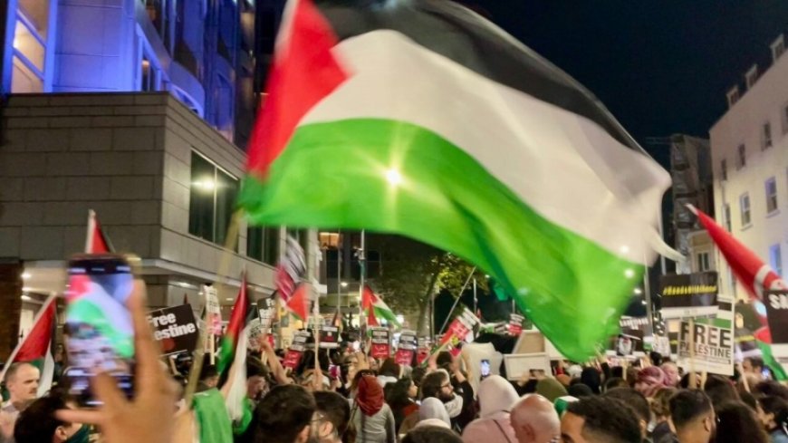 Pro-Palestine rally in Germany