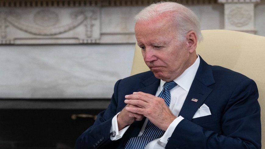 The American website "The Grayzone" reveals the source of Biden's lie about the beheading of Israeli children
