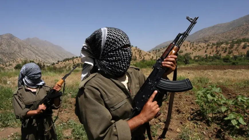 Two PKK members were killed in northern Iraq