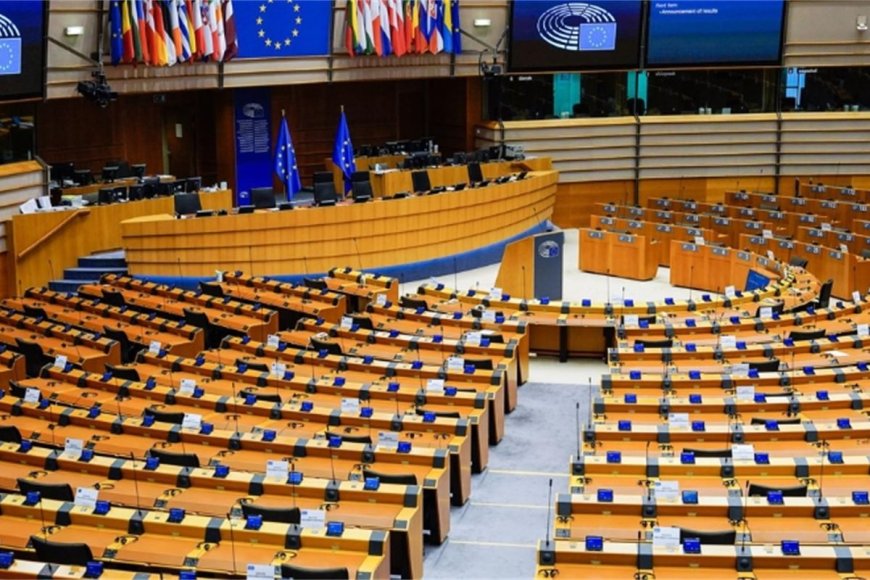 Member of the European Parliament sharply criticized the brutality of the Israeli regime