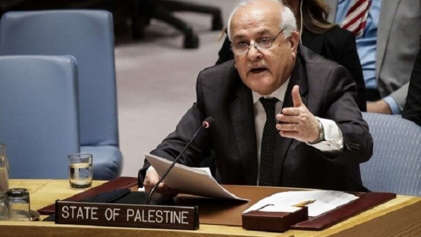 Palestinian representative to the UN: Zionist regime attacks on the Gaza Strip must stop