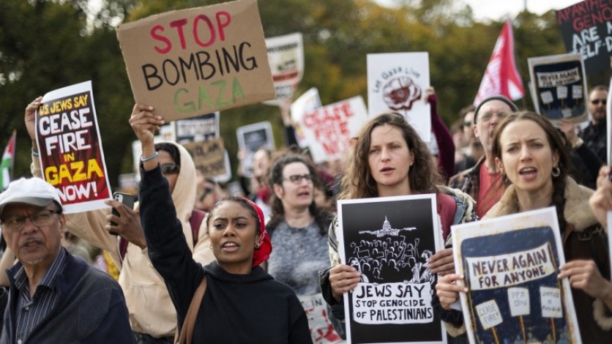 Palestinian Supporters Demonstrate at US Congress